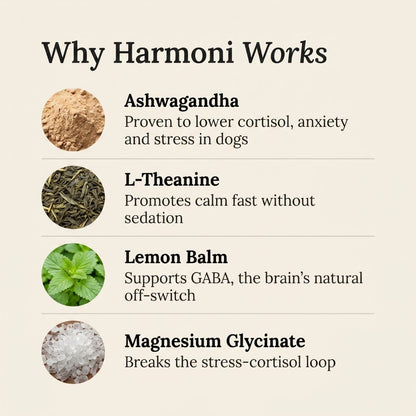 Harmoni - Cortisol Support For Dogs