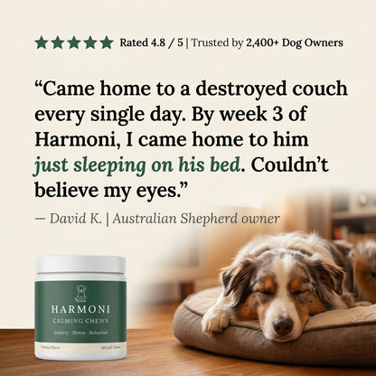 Harmoni - Cortisol Support For Dogs